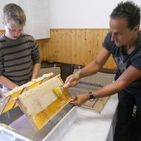 ausbildung4