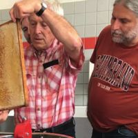 bienenhaus16